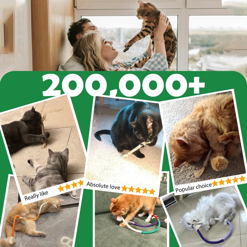 4Pcs Cat Chew Toys | 2 Silvervine Sticks & 2