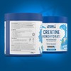 Applied Nutrition Creatine + 700ml Shaker | Creatine Monohydrate Micronized