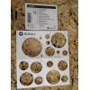 Hollister 11703 New Image Convex Ceraplus Barriers 2-1/4"/57mm - 5