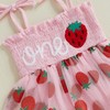 Baby Girl Summer Romper Dress Sleeveless Letter Strawberry Embroidery Tulle