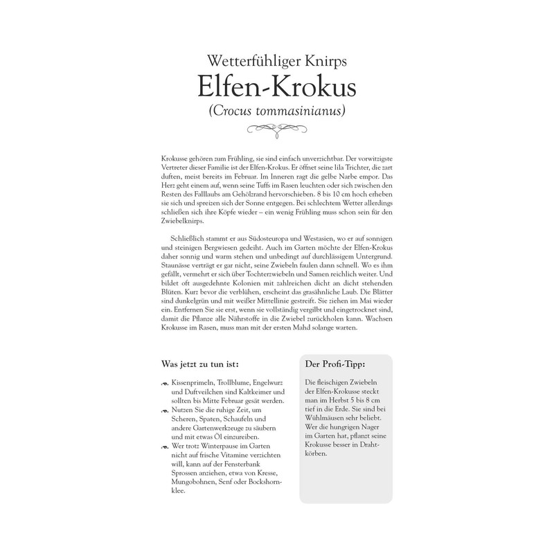 WK 2024 A Year in My Garden: With Many Useful