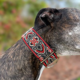 SightHound Gang Martingale Dog Collar and Leash Set for Greyhound Saluki Whippet and Other Breeds with Similar Neck 2" Wide (L 14"-18" and Leash Set)