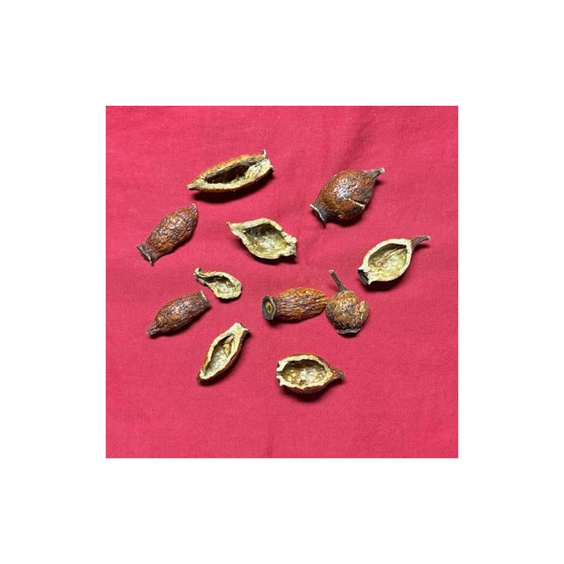 XYP Jinyingzi Jin Ying Zi 金樱子 100Gram