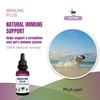 Phytopet Immune Plus | 1x100ml | 100% Natural Herbal Remedy