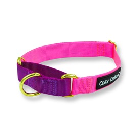 Martingale Anti Pull Dog Collar, Brass Ring and Dual Colored, Vibrant and Elegant Design, Premium Durable Nylon (Small (13" - 17"), Pink)