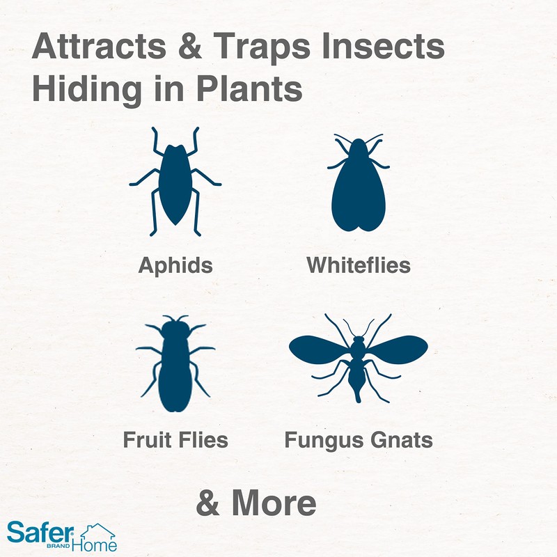 Safer Brand Home SH5026-3SR Houseplant Sticky Stake Insect Traps for