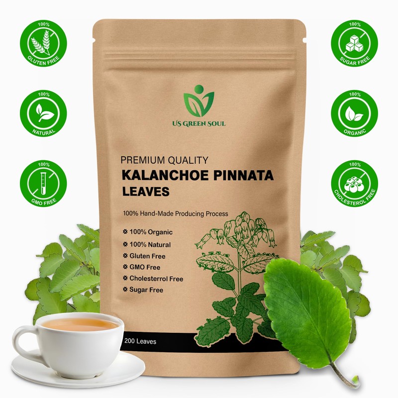 200 Kalanchoe Pinnata Leaves - 100% Pure, Organic, Dried Leaves