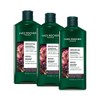 Yves Rocher - Kit Shampoo Reparación para Cabello Seco y
