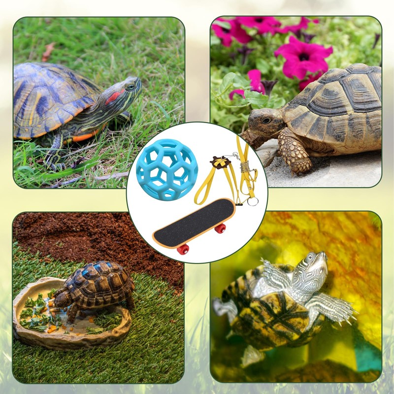 BFSYRR Tortoise Toys, Adjustable Leash and Skateboard, Tortoise Treat Ball,