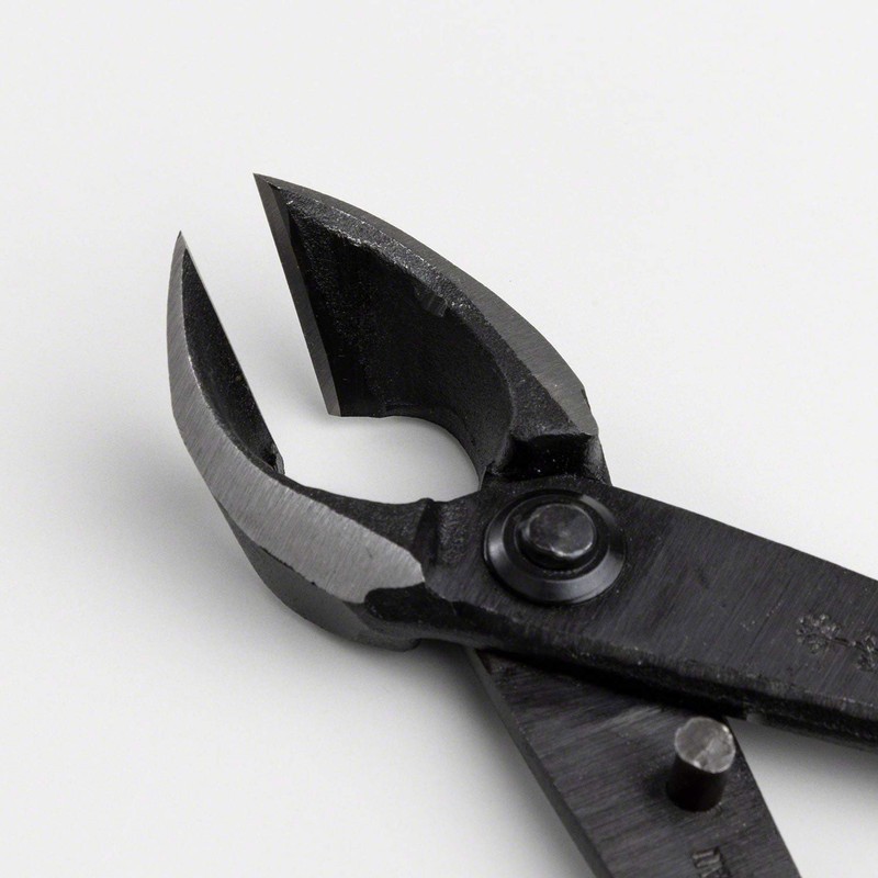 Wazakura Hand Forged Bonsai Concave Branch Cutter, Made in Japan