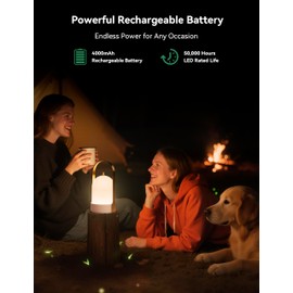 Tubicen Portable Lamp, Battery Operated Cordless Outdoor Table Lamps Rechargeable, 4-Level Touch Dimmable IP44 Shower Lamp, Night Light for Patio Camping Dining Room Bedroom (Brass White, Waterproof)