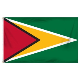 Super Tough Guyana 3ft x 5ft Printed Polyester