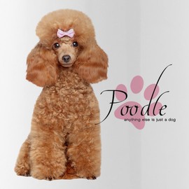 CafePress Poodle Water Bottle 1.0L (34 oz) Stainless Steel Water Bottle