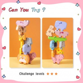 Hagiyaki Toddler Toys Wooden Animal Blocks - Sorting & Stacking Montessori Toys for 3 4 Year Old Boys Girls, 10Pcs Wood Blocks with Storage Bag, Kids Educational Puzzle Balance Toys Birthday