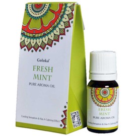 Goloka Pure Aroma Aromatherapy Essential Oils - Perfect for Diffuser, Humidifier, Massage (Fresh Mint)