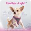 Eagloo Small Dog Harness and Leash Set, Step in Puppy