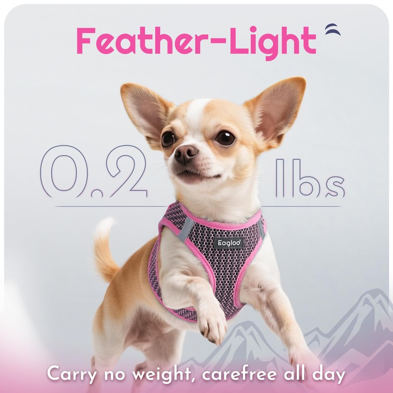 Eagloo Small Dog Harness and Leash Set, Step in Puppy