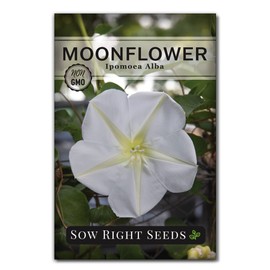 Sow Right Seeds - Moonflower (Ipomoea alba) Flower Seeds for Planting - Beautiful Flowers to Plant in Your Home Garden - Non-GMO Heirloom Seeds - Tall Annual Great for Cut Flowers - Wonderful Gift (1)