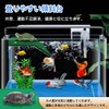 Turtle Floating Island, Aquarium Stand, Artificial Turf, Grass Rest, Suction