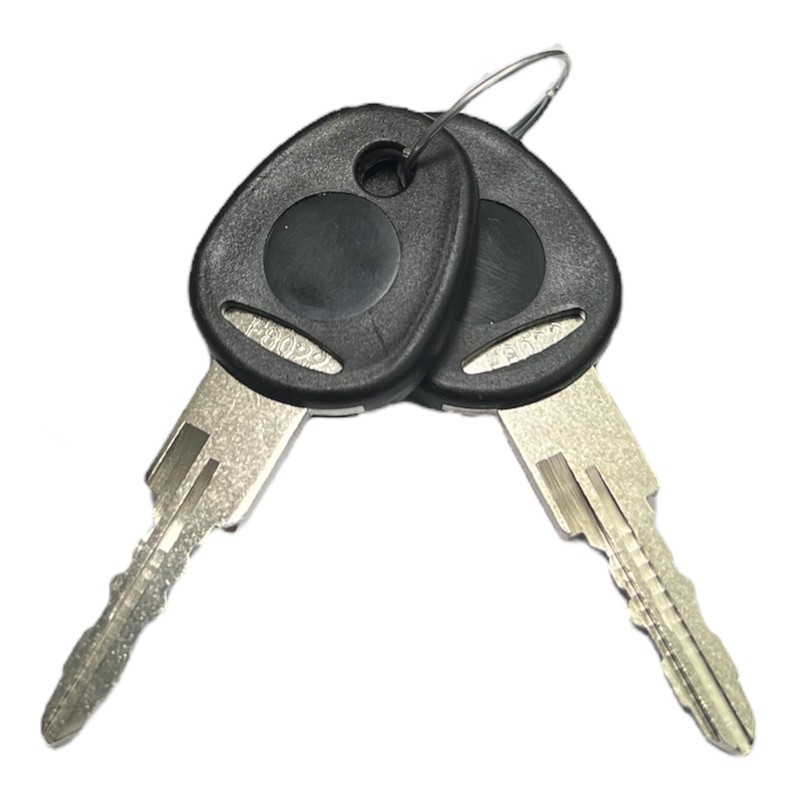 pro-Styling Socket Cylinder Door Cylinder + 2 x Key Lock