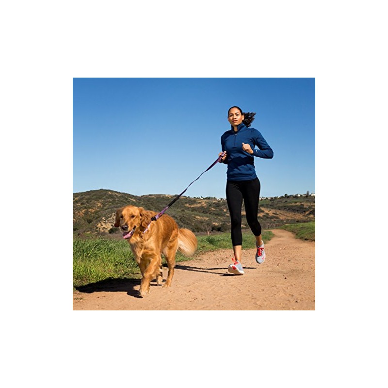 HALTI Active Leash - Award-Winning Bungee Dog Leash, Shock-Absorbing, All-in-One
