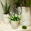 2 Pcs 14in Indoor Metal Garden Circle Plant Trellis for