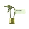 Alpha Padlock Hanging Length Type 1000-20l/Small