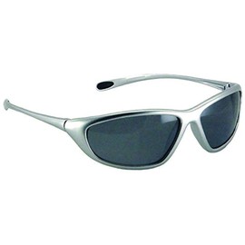 Galeton 11032 Spyder Anti-Fog Anti-Scratch Lenses, Silver Frame/Gray, One Size