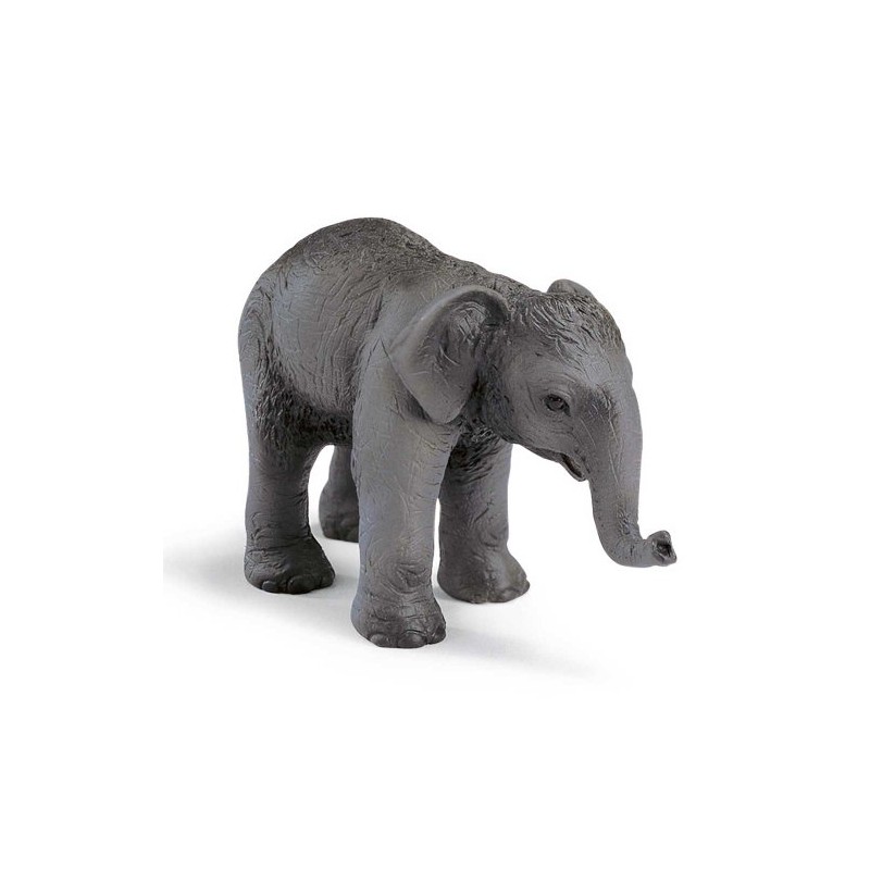 Schleich - Indian Elephant Calf