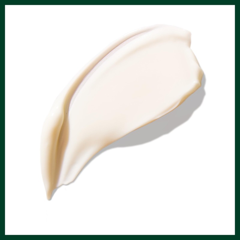 Aveda Botanical Kinetics Intense Hydrating Soft Creme | Face Cream