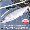 DAIWA Ayuing Minnow 110SF Adel Chart Back Territorial Ayu Fishing