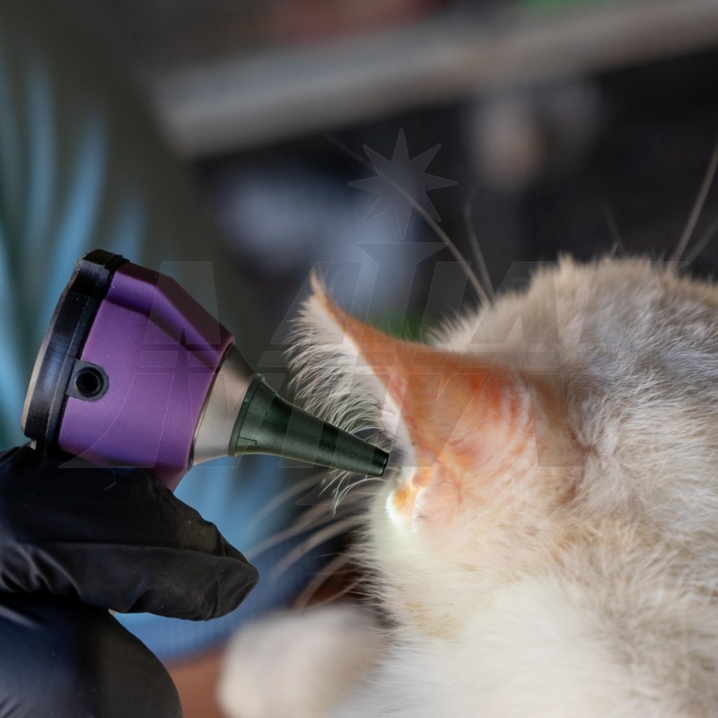 Fiber Optic Mini Otoscope Ear Healthy Tool for Home use