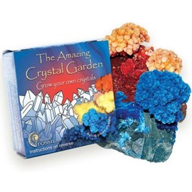 Crystal Growinf experiment Kit Amazing Crystal Garden