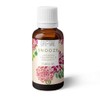 Snooze- Night time 100% Pure Essential Oil Blend 10ml- Pure
