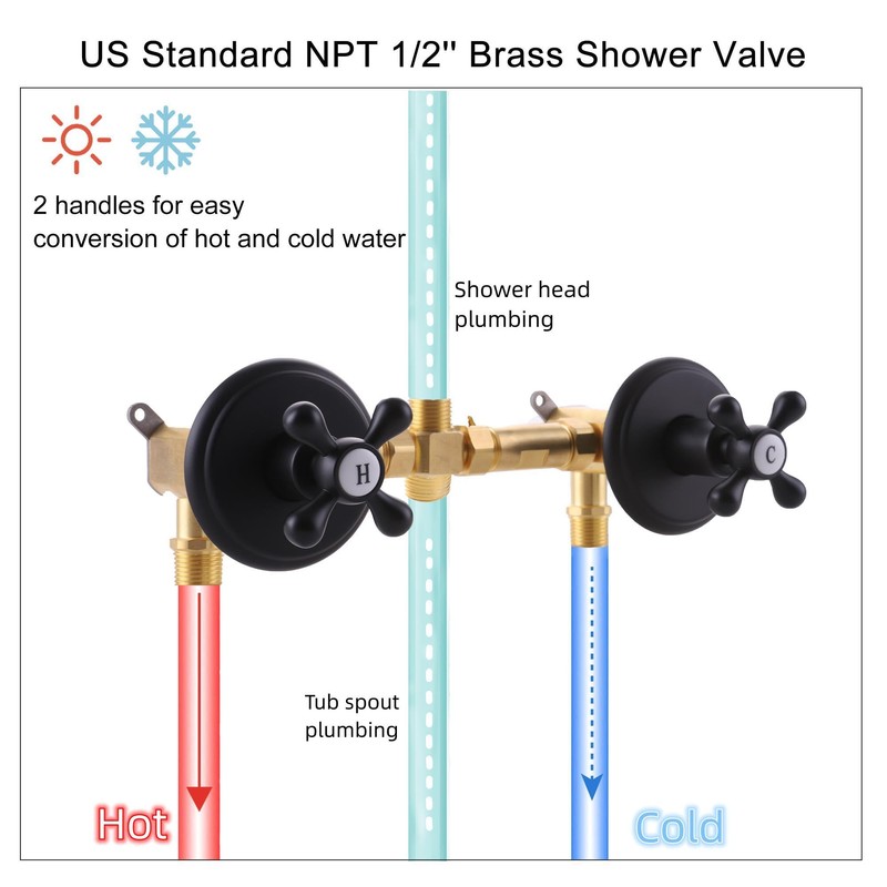 BEIYI 2 Handle Shower Faucet Set, Matte Black Two Handle