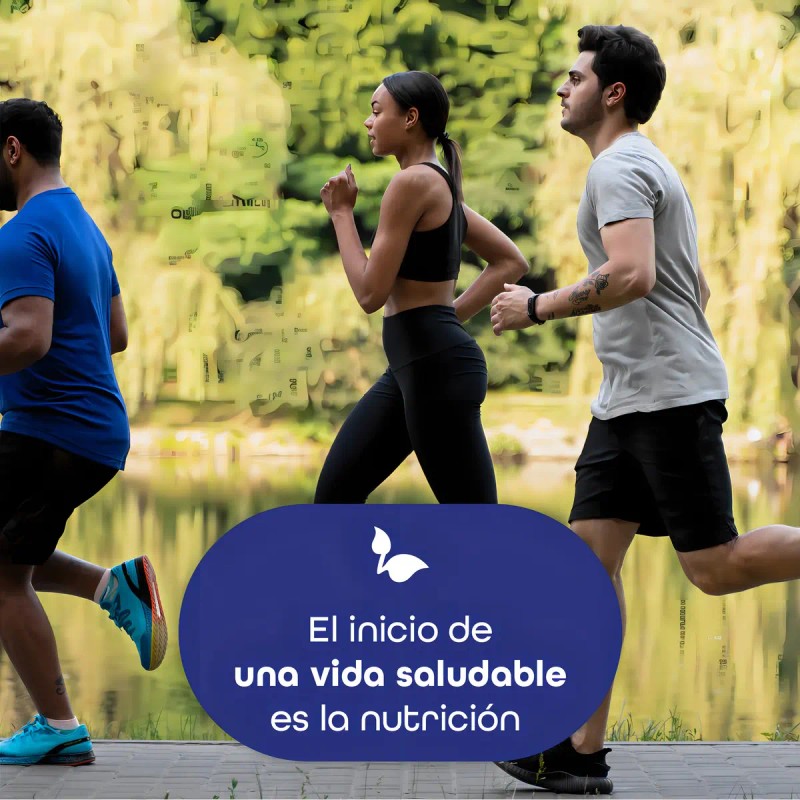 Suplemento Cápsula Bulk Superfoods Suplementos Alimenticios Psyllium Husk 500mg