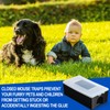 Qualirey 6 Pcs Mouse Traps Includes 4 Mouse Glue Traps
