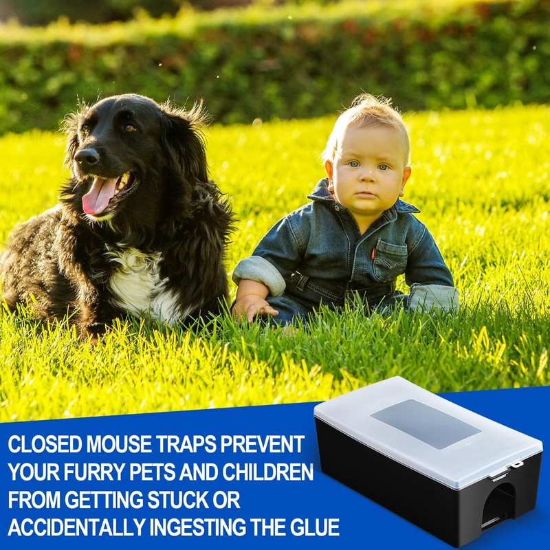 Qualirey 6 Pcs Mouse Traps Includes 4 Mouse Glue Traps