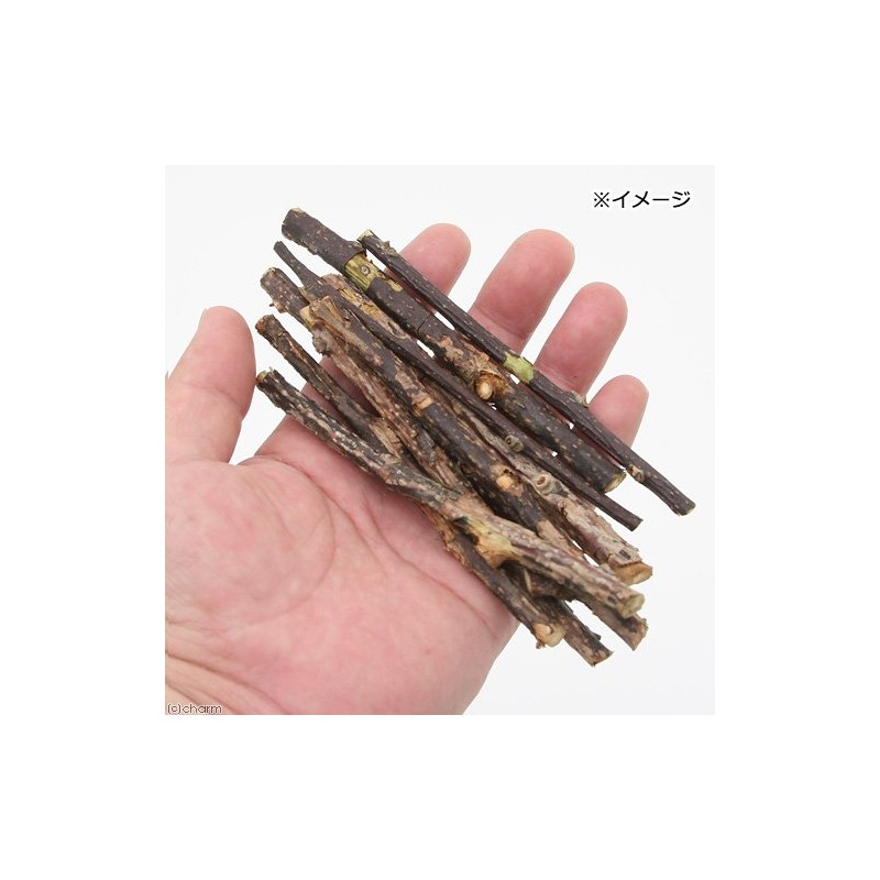 Domestic Matatabi Tree, Fine Branches, 1.4 oz (40 g), Cat