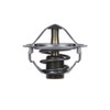 Blue Print ADD69202 Thermostat with Gasket, Pack of 1