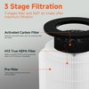 XBWW Cayman 608 320 Replacement Filter Compatible with Okaysou Cayman