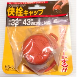 Quick plug cap