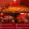2 Pack 275W Infrared Heat Bulbs Red Heat Lamp Glass