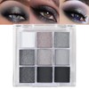 Erinde Black Smokey Gray Silver Eyeshadow Palette, 9 Colors Matte