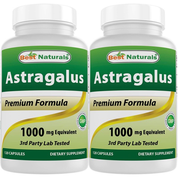 Best Naturals Astragalus Extract 1000 Mg 120 Capsules (120 Count (Pack of 2))