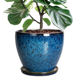 EPFamily 10 Inch Ceramic Planter Pot Round Plant Pot for Indoor Plants Outdoor Large Flower Pot with Drainage Hole and Saucer Blue