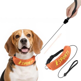 BillionChains 2 in 1 Dog Collar with Retractable Puppy Collar and Leash Adjustable Puppy Collars for Small Dogs