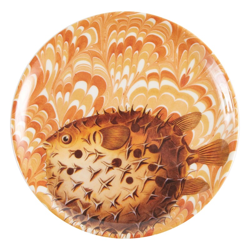 Palm Beach Coasters S/4 Assorted