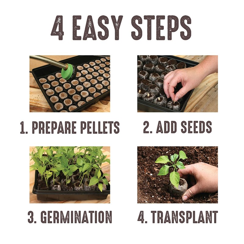 Jiffy Seed Starting Tray Kit, 36 Cell 36mm Peat Pellets