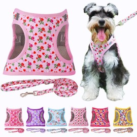 Moonpet Step in Air Dog Harness Leash Set- All Weather Reflective No-Pull Floral Pattern Padded Mesh Vest Harness for Cats Puppy Extra-Small Small Medium Large Dogs Heart Rose XXS